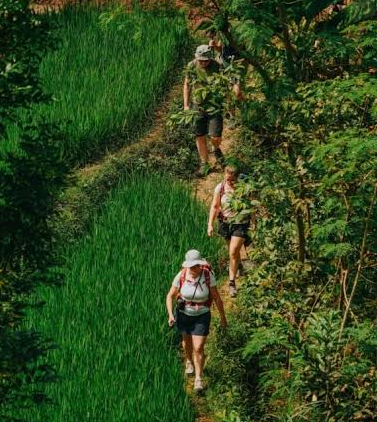Hiking